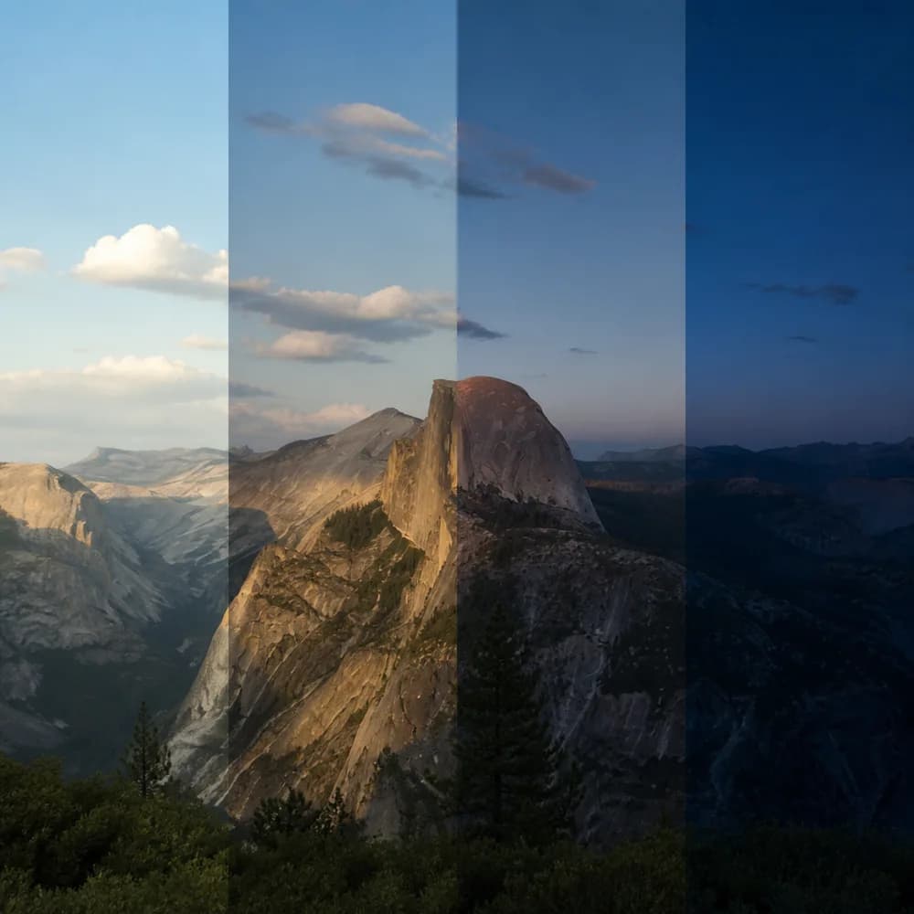 Transitions: Create seamless transitions between any shots